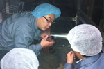 江苏杰盛手套有限公司从严把关 确保新扩建的一次手套生产线建设质量